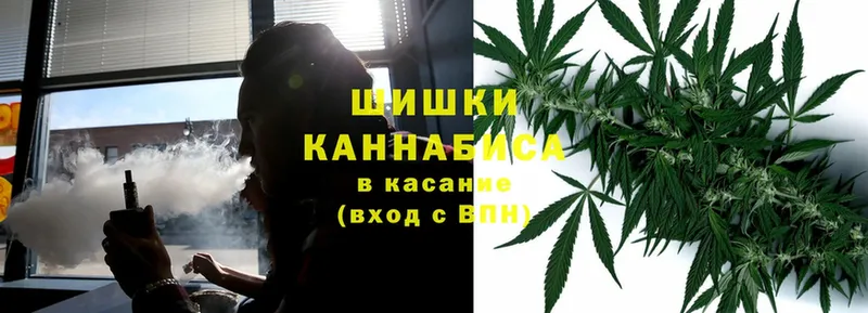 Бошки марихуана OG Kush  Нерчинск 